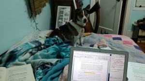 12115788_10102170628869313_6155141246133614489_n